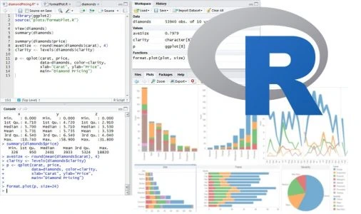 data science statistical programming r language