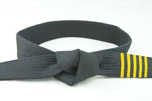lean six sigma master black belt training certification